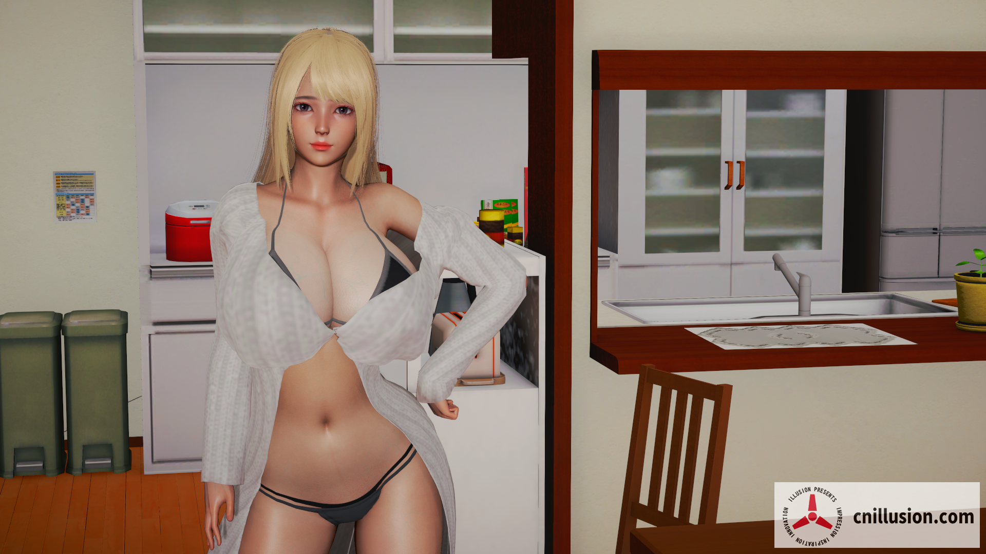 后宫腐败 Harem Corruption [V10.0 官方中文] [PC] [SLG/官中/动态] [721M/FM/WY]