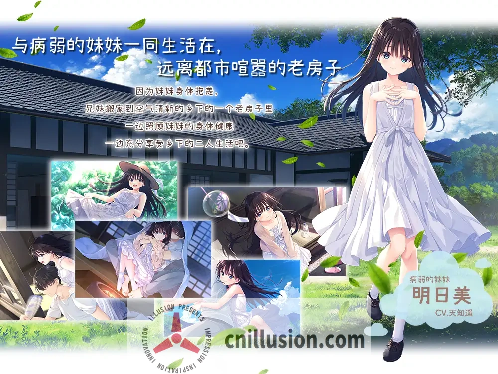 【RPG/官中/动态无码】痴情哥哥与病弱妹妹的乡间生活 Steam官方中文步兵版【3G】【微云网盘/直链】