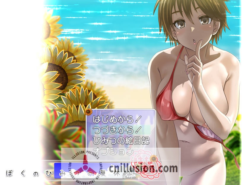 [RPG/汉化/动态] 我的秘密暑假 花丸/ぼくのひみつの夏休み はなまる ver1.1.1 AI汉化 [470M/FM/WY]