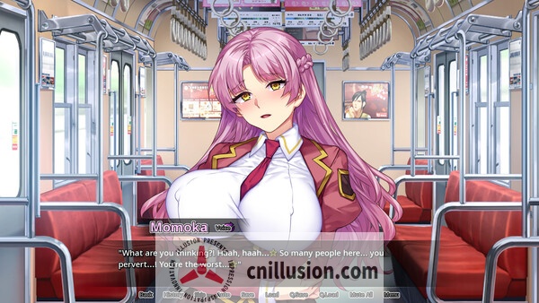 [热门ADV/中文/新作] 情趣馆大小姐的私密调教日记 官方中文步兵版 [FM/百度/2G]