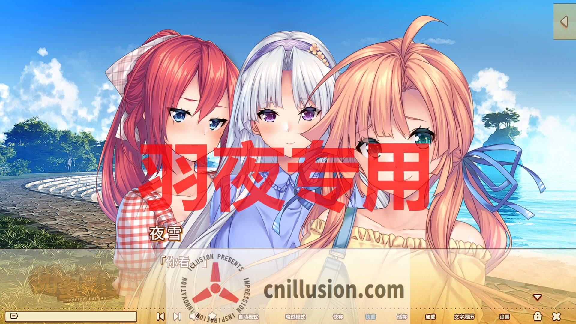 【ADV/STEAM官中/新发售】甜蜜夏日 ~Perfect Edition~【3.4G/度盘】